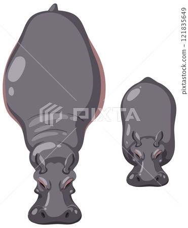 Top View of Two Hippopotamuses 121835649