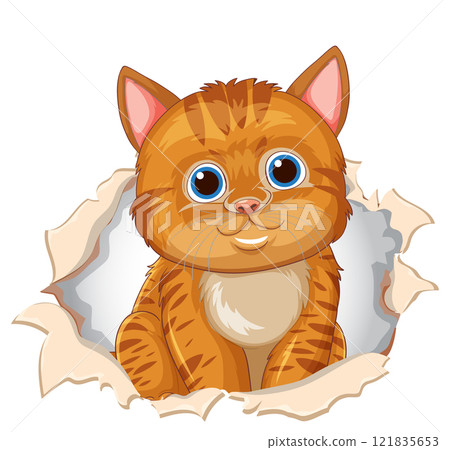 Cute Kitten Peeking Through Paper Cute Kitten Peeking Through Paper 121835653