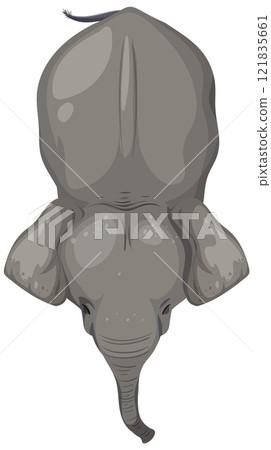 Top View of an Elephant Illustration Top View of an Elephant Illustration 121835661