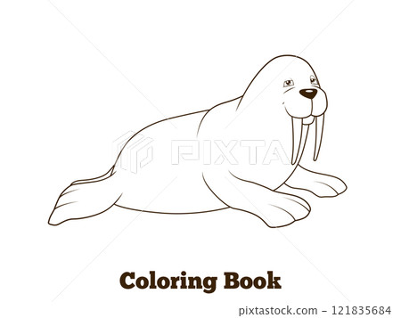 Walrus cartoon coloring book vector illustration Walrus cartoon coloring book vector illustration 121835684