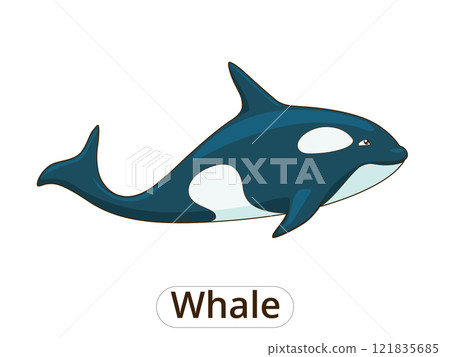 Whale orca cartoon vector illustration Whale orca cartoon vector illustration 121835685