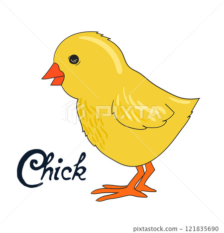 Bird chick vector illustration Bird chick vector illustration 121835690