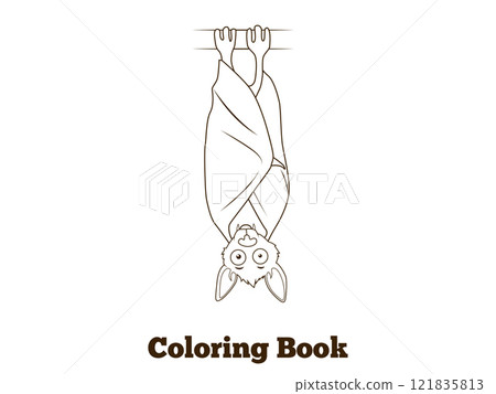 Coloring book forest animal bat cartoon Coloring book forest animal bat cartoon 121835813