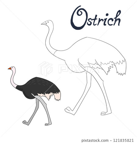 Educational game coloring book ostrich bird 121835821