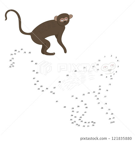 Connect the dots game vervet ape vector 121835880