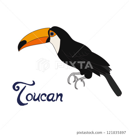 Bird toucan vector illustration 121835897