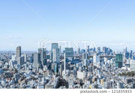 陽光明媚的東京城市景觀（澀谷/新宿地區） 121835933