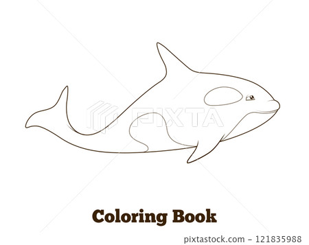 Whale orca cartoon coloring book vector 121835988