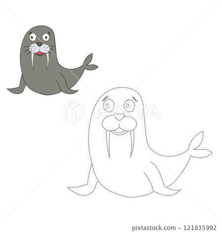 Connect the dots game seal walrus vector Connect the dots game seal walrus vector 121835992