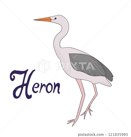 Bird heron vector illustration 121835993