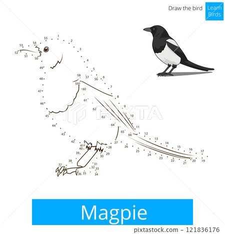 Magpie bird learn to draw vector Magpie bird learn to draw vector 121836176