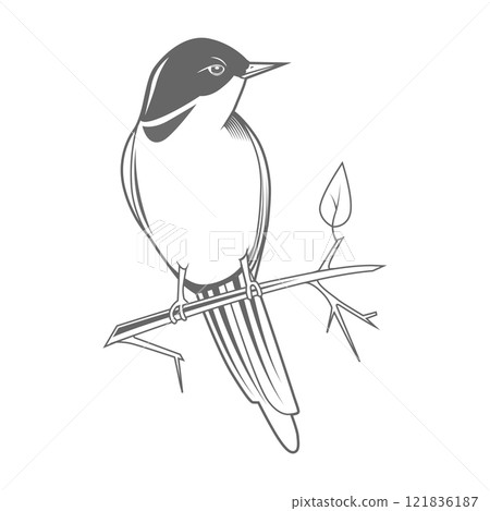 Engraving bird nightingale emblem vector Engraving bird nightingale emblem vector 121836187