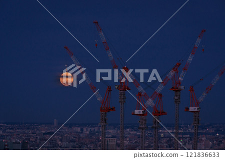 滿月/鶴 121836633