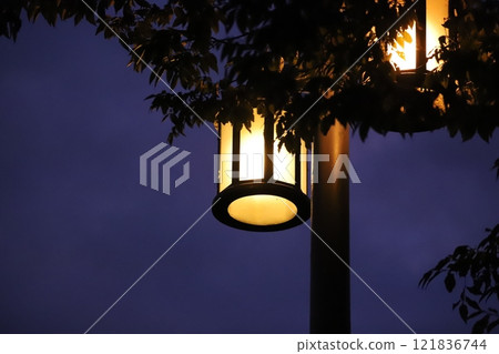 Street lights of "Takadachibashi" near Hiraizumi Roadside Station 121836744