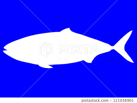黃尾魚白色輪廓 黃尾魚白色輪廓 121836901