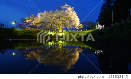 夜櫻桃反射 121838145