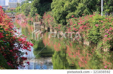 The beautiful view of the canal in city. The beautiful view of the canal in city. 121838592