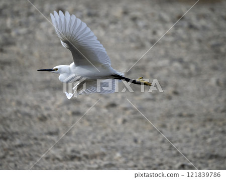 Flying skies on the river Flying skies on the river 121839786