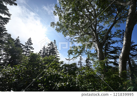 Climbing Mount Aizu-Komagatake, Fukushima Prefecture Climbing Mount Aizu-Komagatake, Fukushima Prefecture 121839995