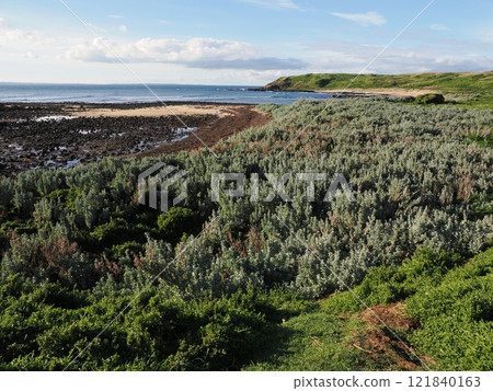 Coastal scenery near Sunset Lookout on Phillip Island in winter, Victoria, Australia Coastal scenery near Sunset Lookout on Phillip Island in winter, Victoria, Australia 121840163