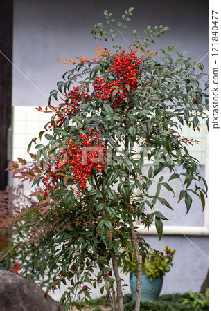 Southern Southern 121840477