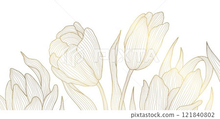 Vector line gold on white tulips art, luxury graphic botanical illustration, plant floral background. 121840802