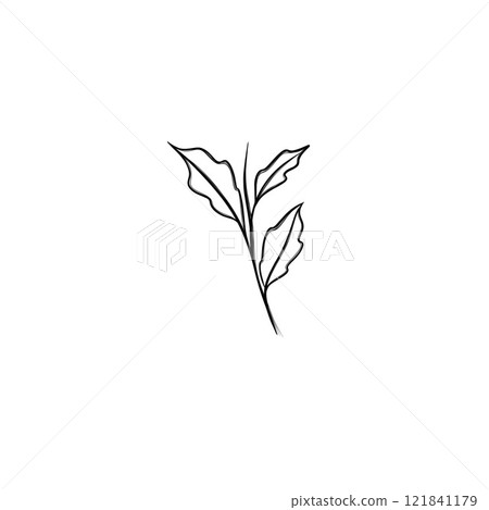 leaf pant line art. Minimalistic line drawing. leaf line art. Botanical drawing illustration by hand. 121841179