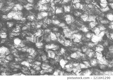 Material: Paper Texture: Monotone 121841290