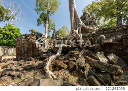 Cambodia Angkor Wat Ta Prohm 121841930