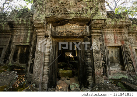 Cambodia Angkor Wat Ta Prohm 121841935