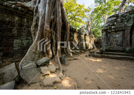 Cambodia Angkor Wat Ta Prohm 121841941