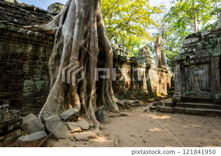 Cambodia Angkor Wat Ta Prohm Cambodia Angkor Wat Ta Prohm 121841950