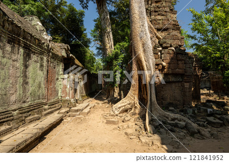 Cambodia Angkor Wat Ta Prohm 121841952