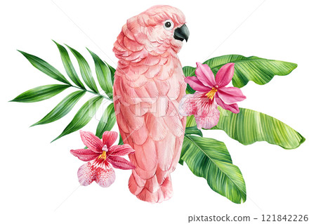 tropical parrot with watercolor flowers and leaves, exotic bird botanical illustration isolated for cards, summer prints tropical parrot with watercolor flowers and leaves, exotic bird botanical illustration isolated for cards, summer prints 121842226
