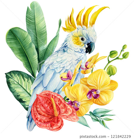Parrot with green leaves, yellow flower, watercolor exotic bird for design, tropical nature illustration. Jungle birds 121842229