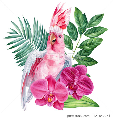 Parrot with tropical flowers, green leaves. Exotic watercolor bird illustration for cards, posters, isolated clipart 121842231