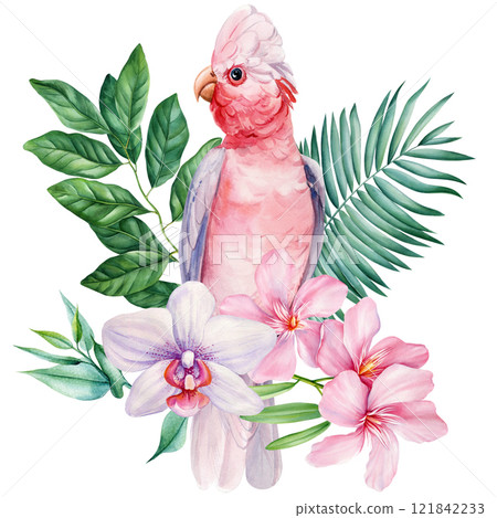 watercolor tropical parrot with leaves and flowers, exotic pink bird isolated illustration for decor, botanical design 121842233