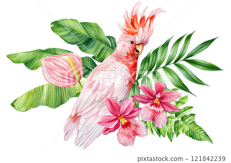 Exotic watercolor parrot with green leaves and orchid flower, tropical bird illustration isolated design element decor 121842239