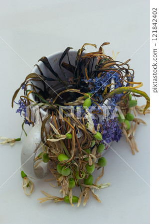 Unique arrangement of dried flowers and foliage in a white ceramic cup on a neutral background Unique arrangement of dried flowers and foliage in a white ceramic cup on a neutral background 121842402