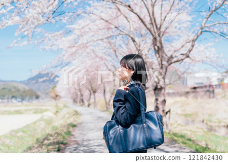 Row of cherry trees and high school students 121842430