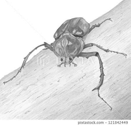 山原tenagakogane_鉛筆畫 121842449