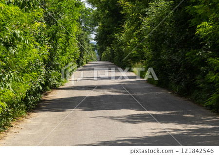 Serene tree-lined pathway inviting tranquility and exploration on a sunny day 121842546