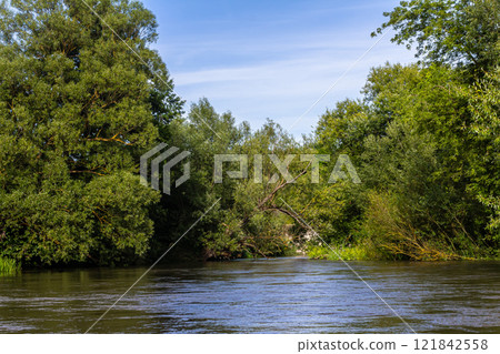 Tranquil river surrounded by lush greenery under a clear blue sky in a serene natural setting Tranquil river surrounded by lush greenery under a clear blue sky in a serene natural setting 121842558