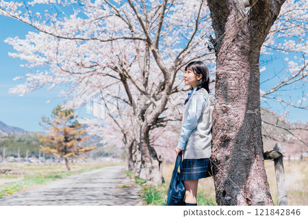 櫻花和高中生 櫻花和高中生 121842846