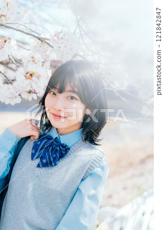 Cherry blossoms and high school students 121842847