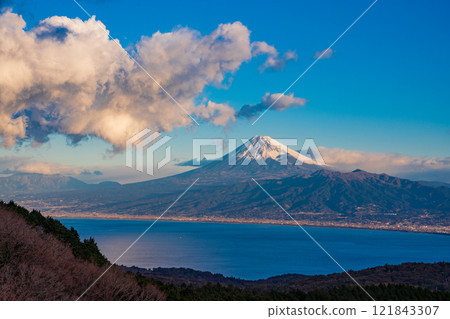 [Shizuoka Prefecture] View of Mt. Fuji across the sea from Darumayama Plateau in winter 121843307