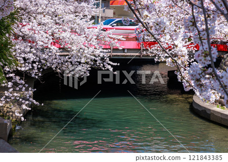 大垣市櫻花盛開:春天的景色【岐阜縣】 大垣市櫻花盛開:春天的景色【岐阜縣】 121843385