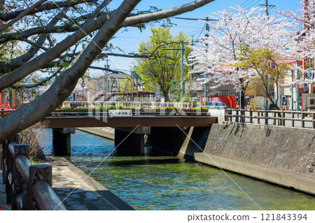 Cherry blossoms in full bloom in Ogaki City: Spring scenery [Gifu Prefecture] 121843394