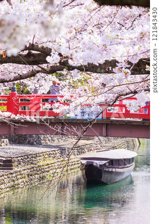 大垣市櫻花盛開：春天的景色【岐阜縣】 121843430