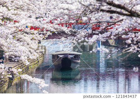 大垣市櫻花盛開：春天的景色【岐阜縣】 121843437